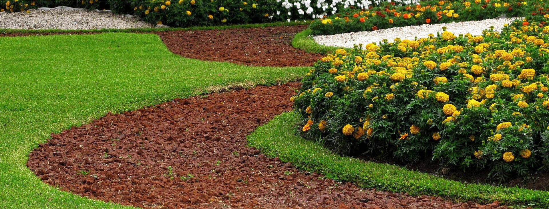 Staff performing precise tree trimming on palms in Palm Beach Gardens, FL.
